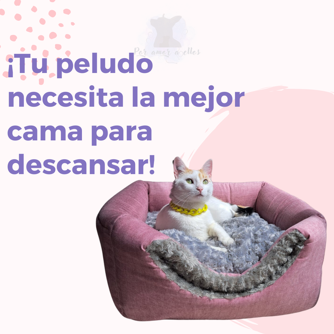 Cama Cubo 3 en 1 Anti-estres