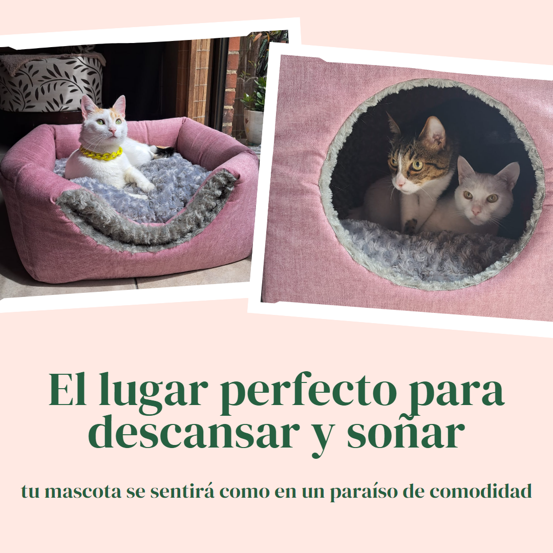 Cama Cubo 3 en 1 Anti-estres