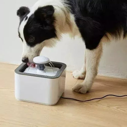 Fuente De Agua Mascotas 2.5L